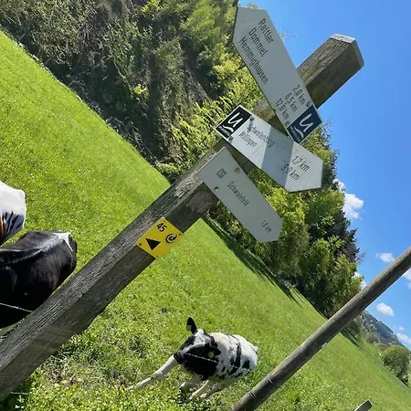 Up Willingen-schwalefeld Apartmán