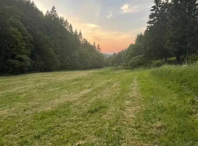 Up Willingen-schwalefeld *