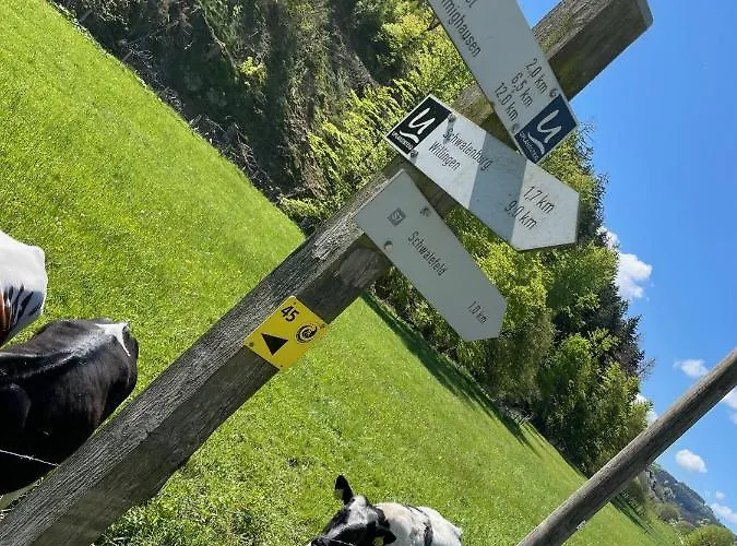 Up Willingen-schwalefeld Апартаменты