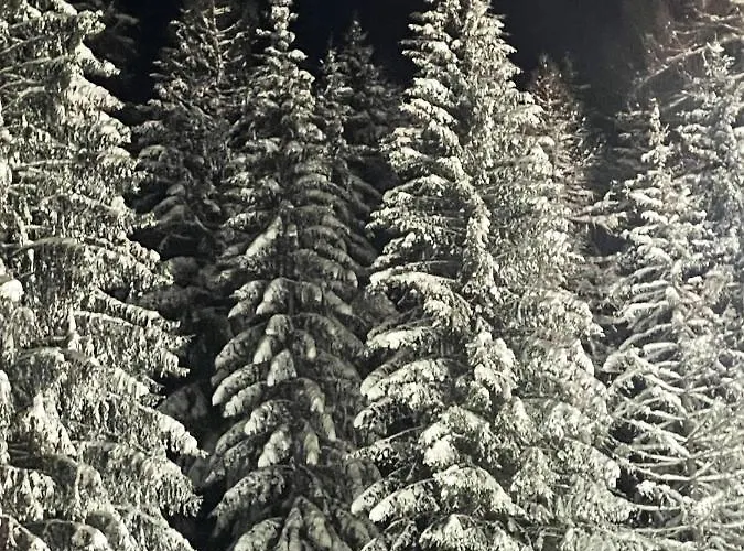 Up Willingen-schwalefeld Апартаменты Виллинген